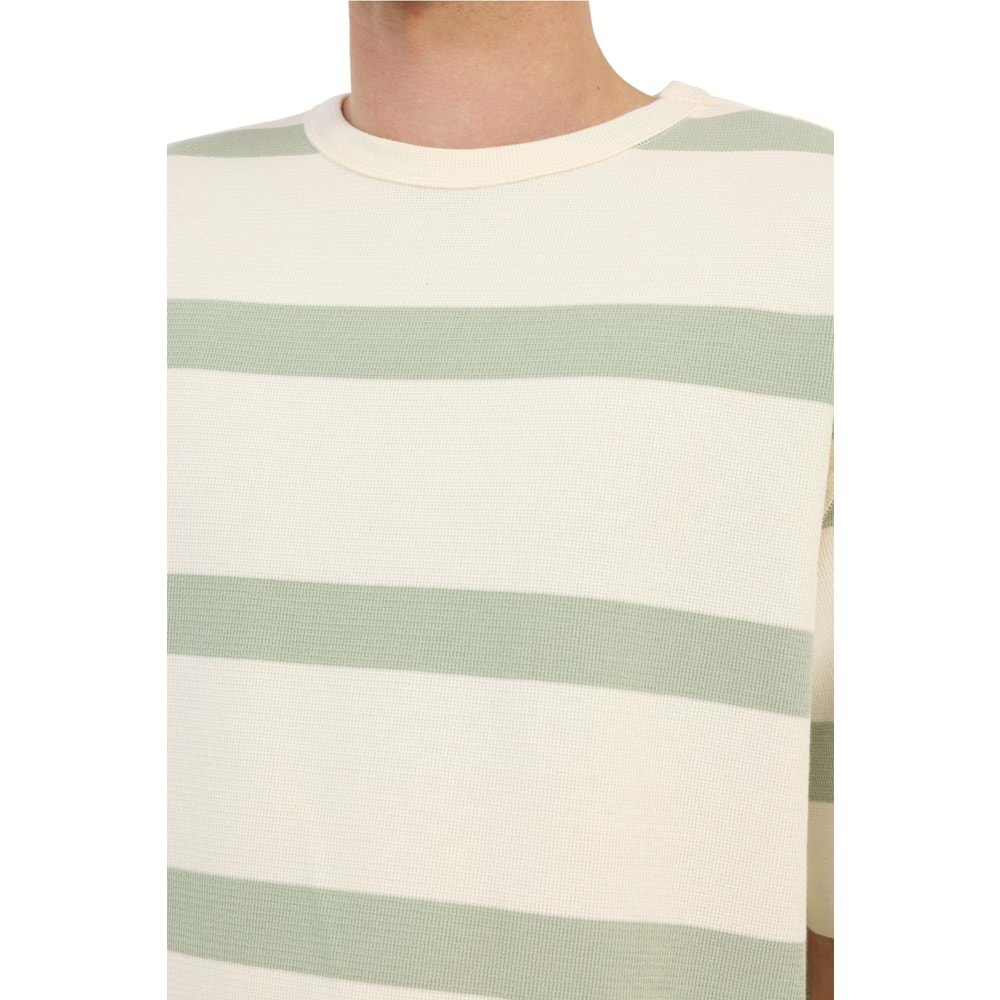 LUMBERJACK MB TUSK 11BS100 6FX ERKEK KISA KOL TİŞÖRT - ADAÇAYI - L