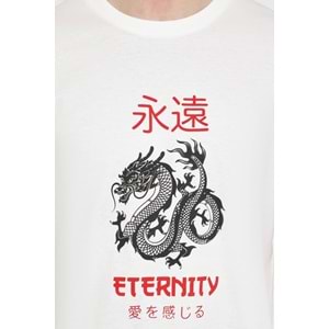 KİNETİX LATNE 11ES-SLG-106 4FX ERKEK KISA KOL TİŞÖRT - BEYAZ - L