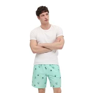 LUMBERJACK ML VISTORA 19HL-219 6FX ERKEK DENİZ ŞORTU - MINT - L