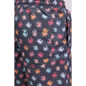 LUMBERJACK ML WERNER 19DS1040 4FX ERKEK DENİZ ŞORTU - ANTRASİT - M